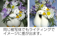 ���C�e�B���O�̒���