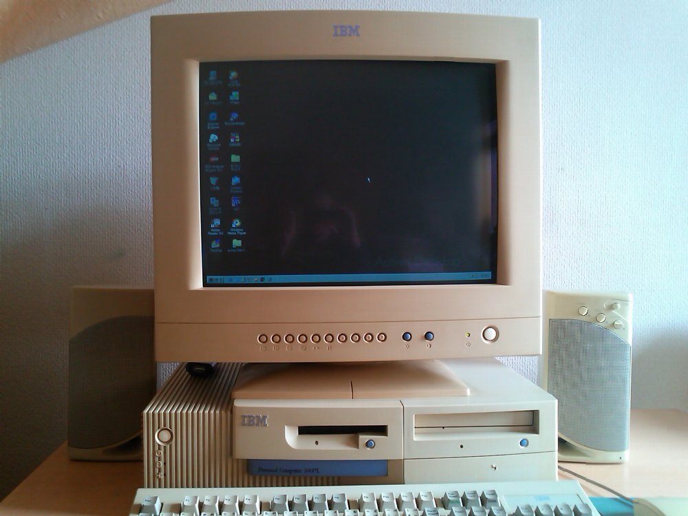 IBM_300PL.jpg(101959 byte)