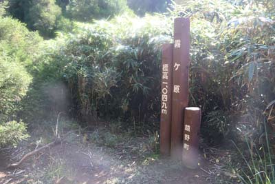 霧ヶ原