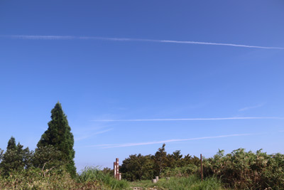 伯州山山頂