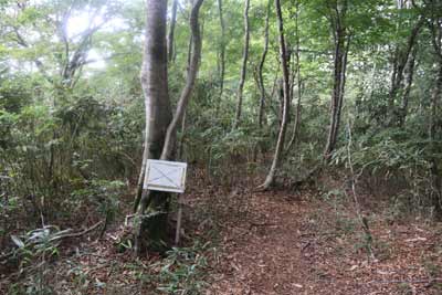 尾根コースへ
