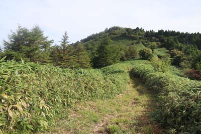 中央峰直下
