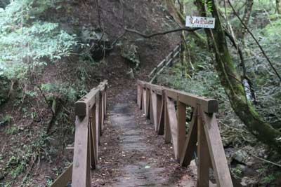 登山道入口
