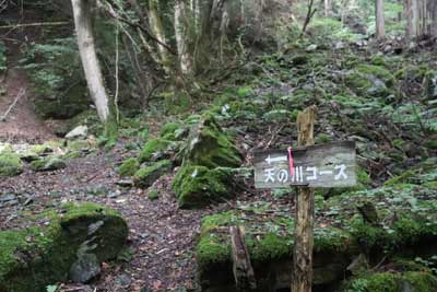 天の川コースへ
