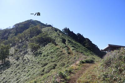 分岐