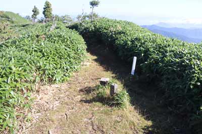 三角点峰