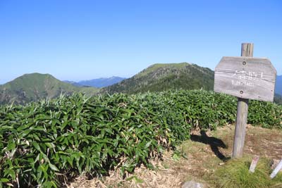 一ノ森山頂
