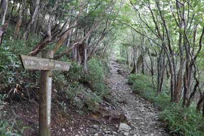 登山道