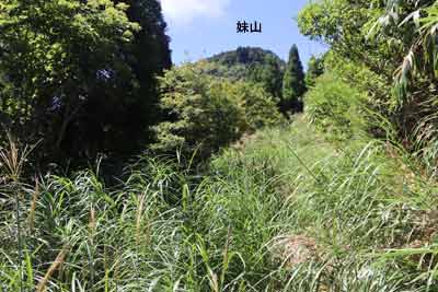妹山