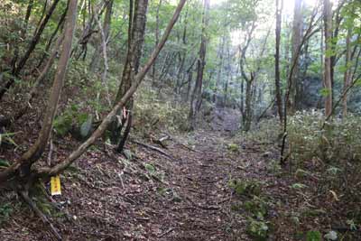 登山道