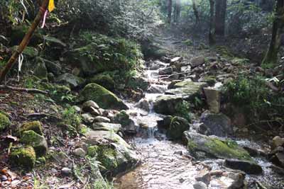 荒れた沢