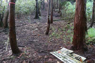 花知ヶ仙登山道出合