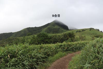 たおやかな風景
