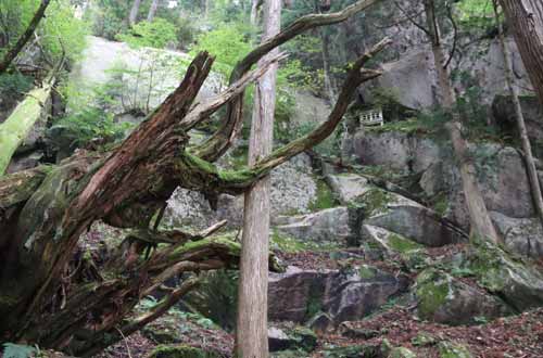 妹山様奥の院