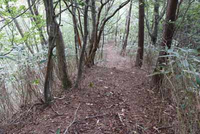 急坂