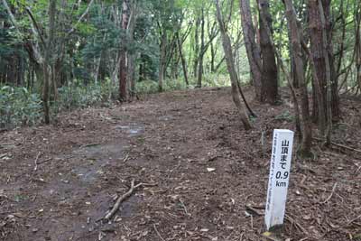 登山道