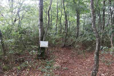 尾根コースへ