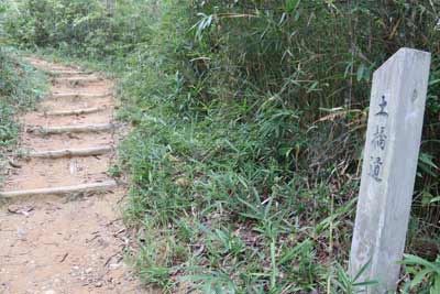 土橋道