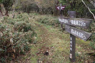 分岐