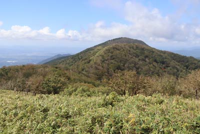 滝山