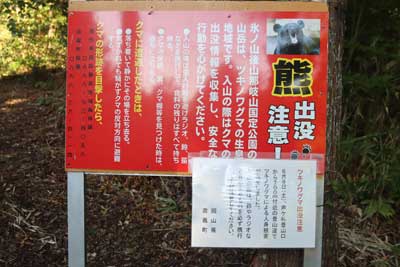 熊注意
