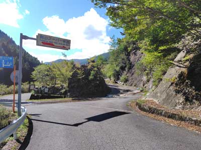 県道
