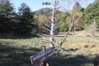 分岐
