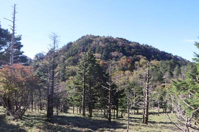 丸笹山