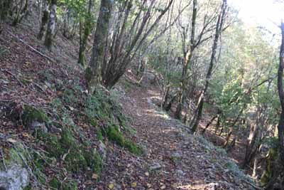 登山道