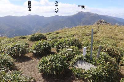 塔丸山頂