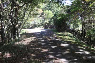 舗装路に出た