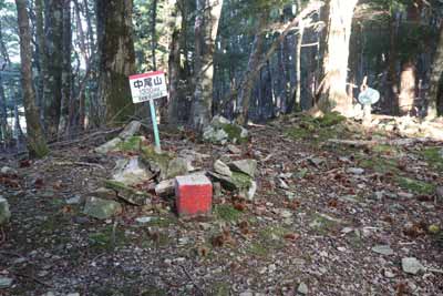 中尾山山頂