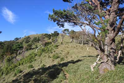 赤帽子山への稜線