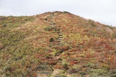 池ノ段東斜面