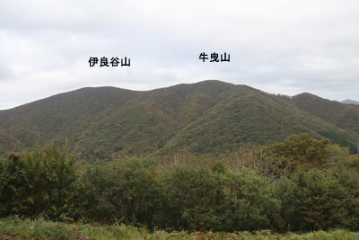展望園地