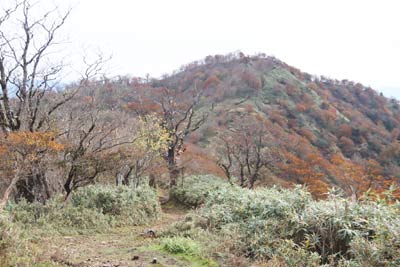 近づく後山