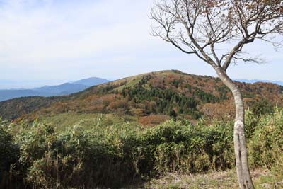 鍋ヶ谷山