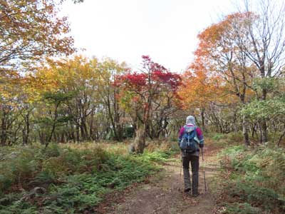 紅葉の中