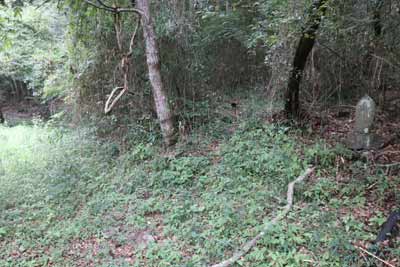 登山口