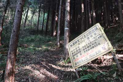 植林帯