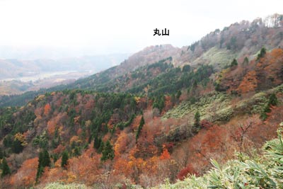 丸山の斜面