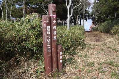 ブナの谷頭