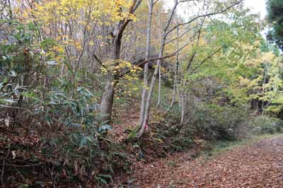 丸山登山口