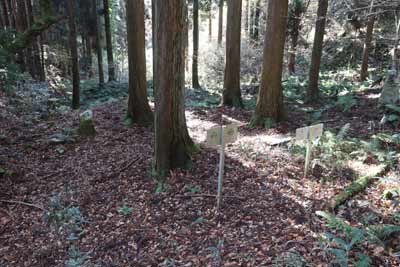 十国峠（十石峠）