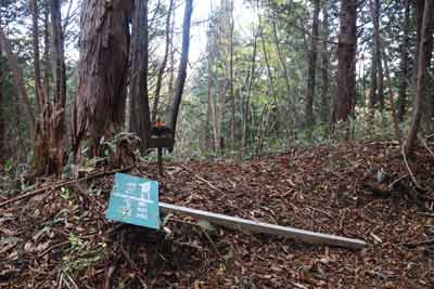 分岐