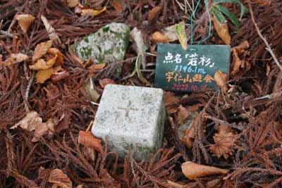 四等三角点