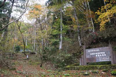 森林浴の森 日本100選