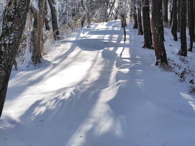 雪庇