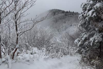 山頂方向