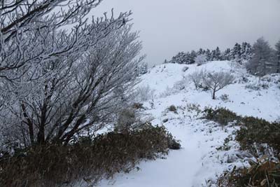 雪原